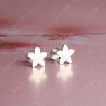 925 Silver Earring - BALLOON FLOWER